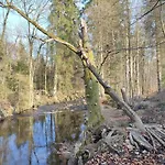 Ferienhaeuser Im Harzresort Ferienhaus
