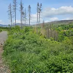 Holiday home Ferienhaeuser Im Harzresort *