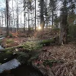 Ferienhaeuser Im Harzresort Schierke