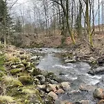 Holiday home Ferienhaeuser Im Harzresort Schierke