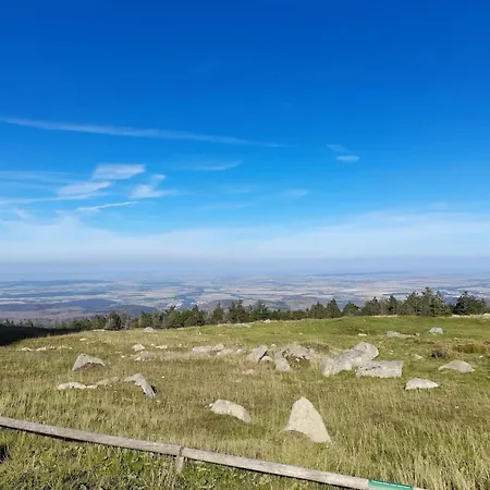 Homes In The Harzresort,