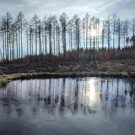 度假居 Ferienhaeuser Im Harzresort *
