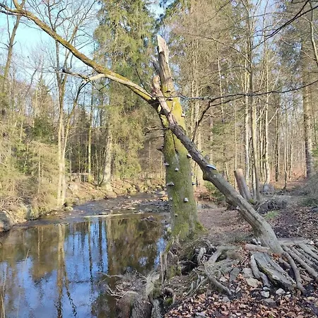 Homes In The Harzresort, Hébergement de vacances