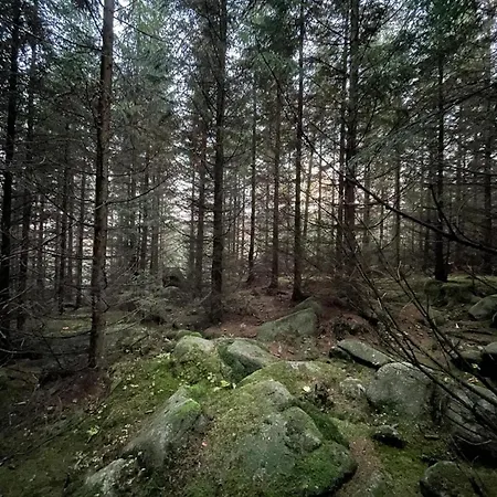 Homes In The Harzresort, Hébergement de vacances Schierke