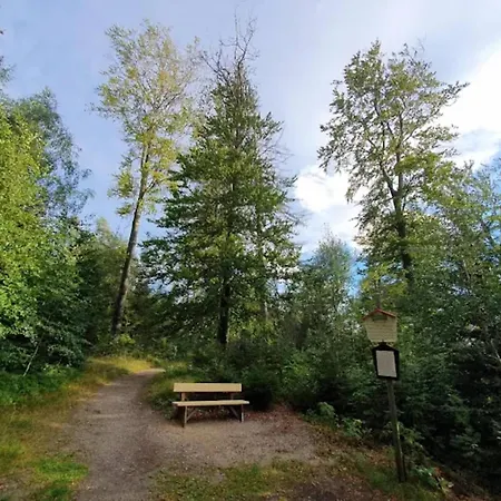 Ferienhaeuser Im Harzresort Holiday home
