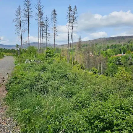 Nyaraló Homes In The Harzresort, *
