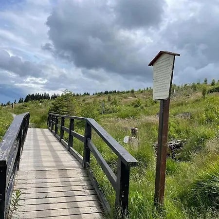 Ferienhaeuser Im Harzresort *