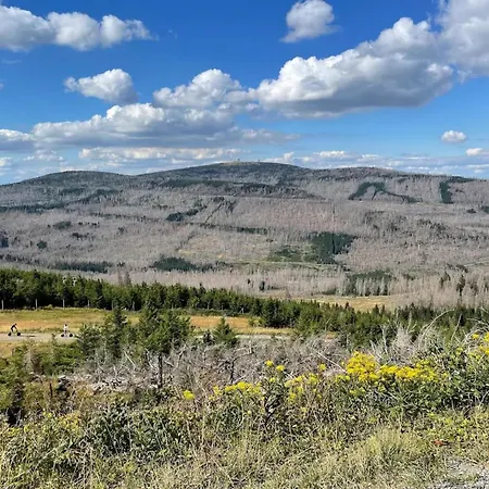 Homes In The Harzresort, Hébergement de vacances