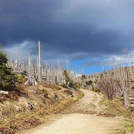 Homes In The Harzresort, Hébergement de vacances Schierke
