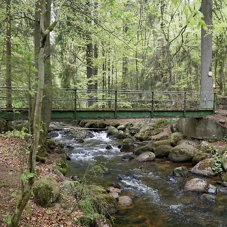 Ferienhaeuser Im Harzresort