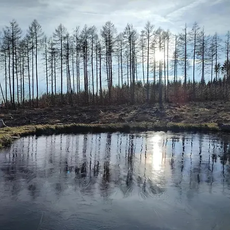 Ferienhaeuser Im Harzresort 度假居