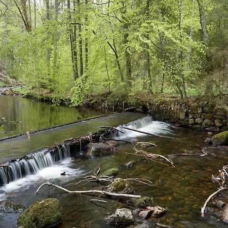 Homes In The Harzresort, Hébergement de vacances