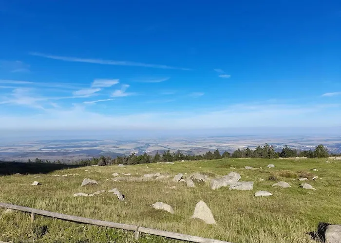 Homes In The Harzresort,