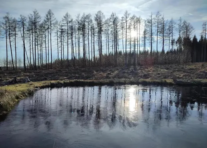 Nyaraló Homes In The Harzresort, *