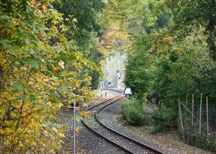 Homes In The Harzresort, Schierke