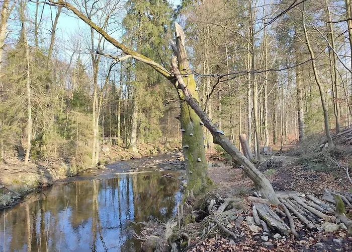 Homes In The Harzresort, Holiday home