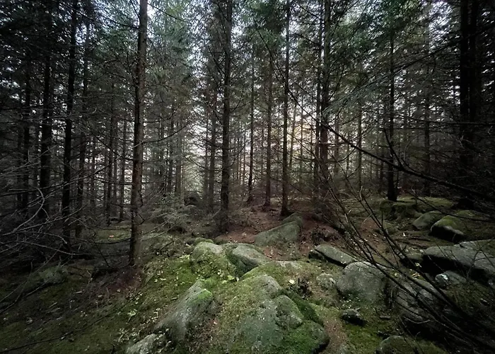 Homes In The Harzresort, Nyaraló Schierke