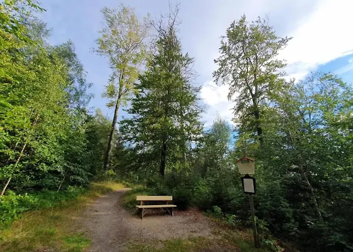 Homes In The Harzresort, Nyaraló