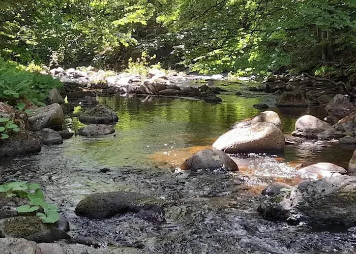 Holiday home Homes In The Harzresort,