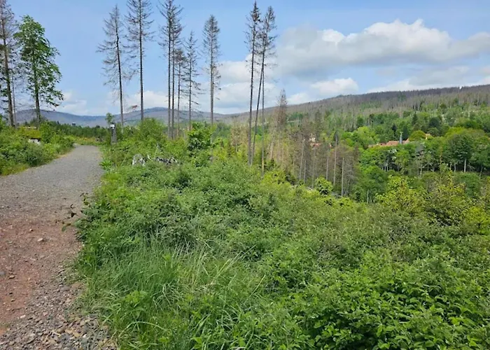 Holiday home Homes In The Harzresort, *