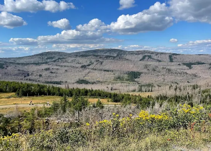 Homes In The Harzresort, Nyaraló