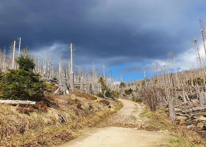 Homes In The Harzresort, Nyaraló Schierke