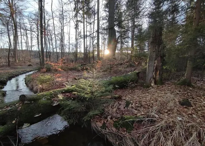 Homes In The Harzresort, Schierke