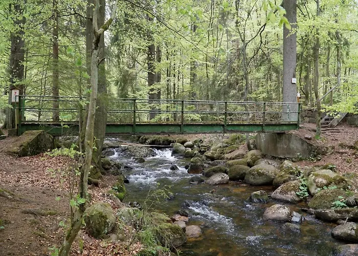 Homes In The Harzresort,