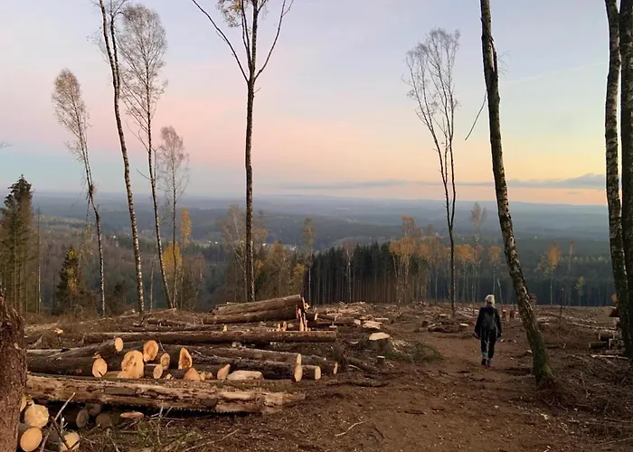 Homes In The Harzresort, Nyaraló *
