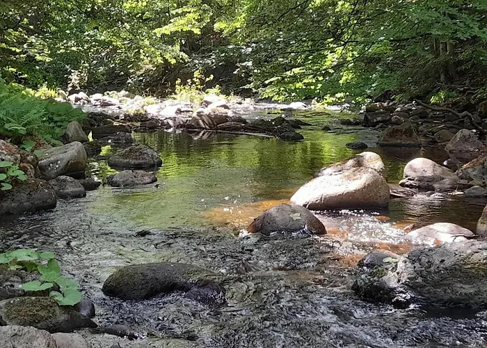 Nyaraló Homes In The Harzresort, *