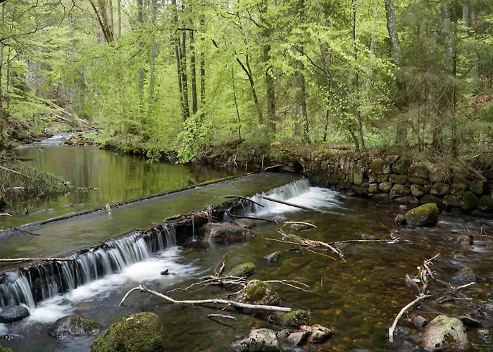 Homes In The Harzresort, Nyaraló
